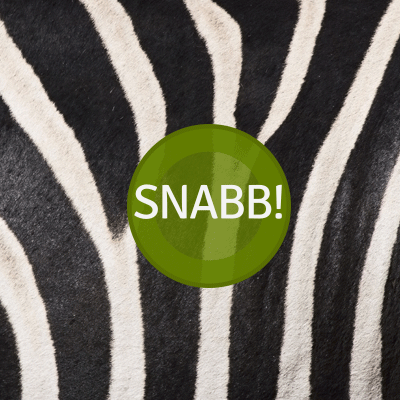 1607 snabblet